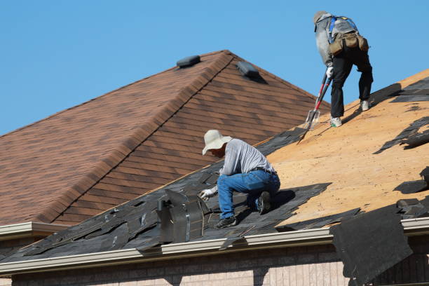Best Chimney Flashing Repair  in Magna, UT